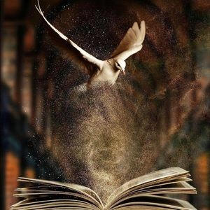 Meet your Posher, Aya